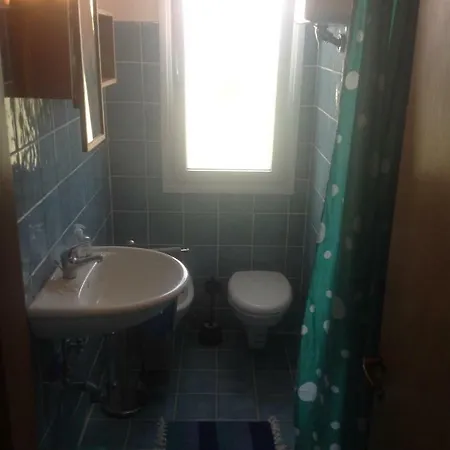 Octopus סיבוטה
